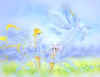 p�gase.jpg (48872 octets)